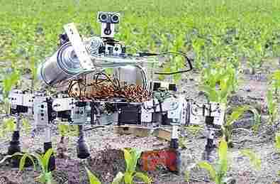 农业机器人