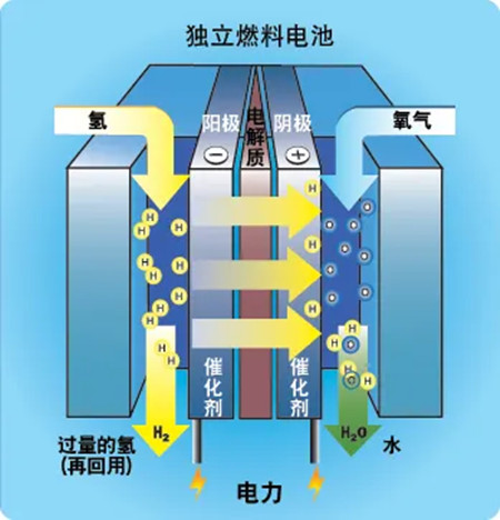 燃料电池